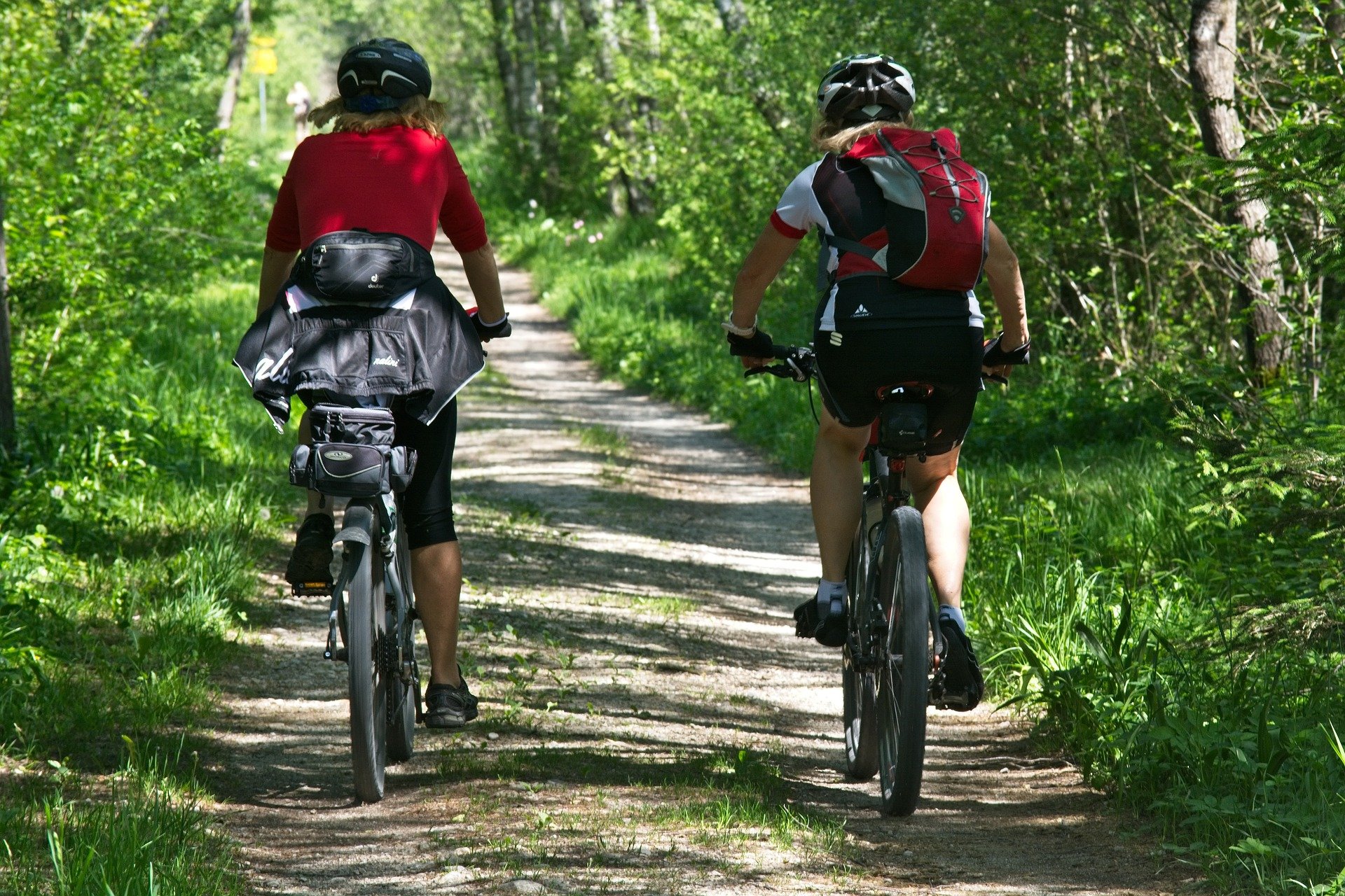 Bike riding in the Noosa region